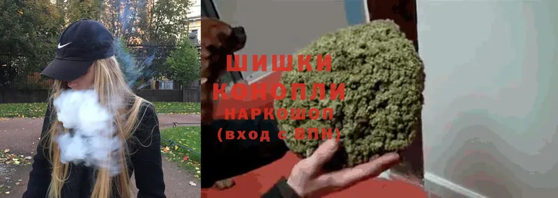 МАРИХУАНА SATIVA & INDICA  Данилов 